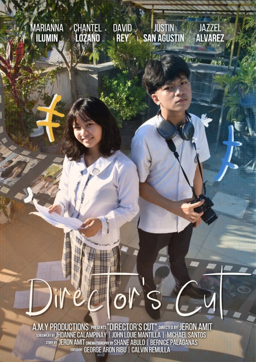 Director's Cut (2025) poster
