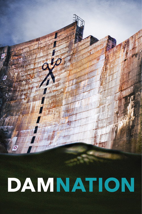 DamNation (2014) poster