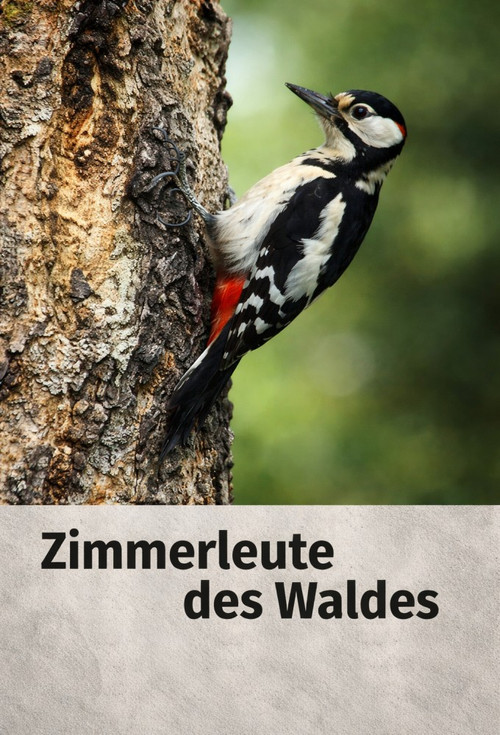 Woodpecker (1955) poster