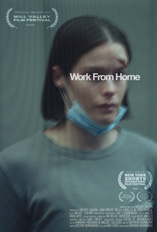 Work From Home (2024) poster