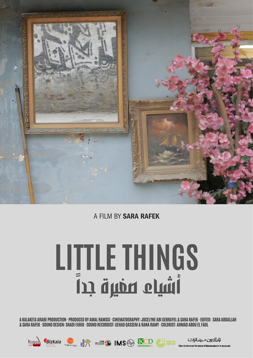 Little Things (2026) poster