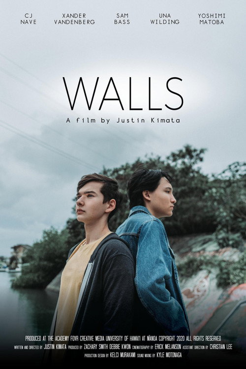 Walls (2020) poster