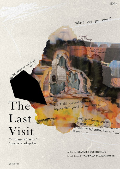 The Last Visit (2023) poster