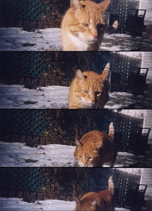 Nobody Knows