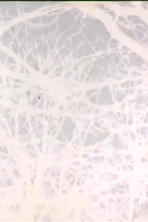 Leafless
