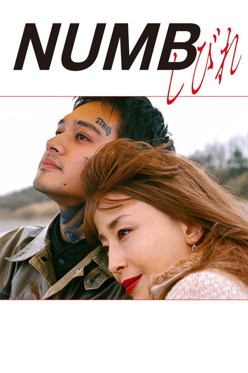 Numb (2026) poster
