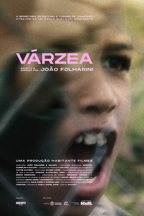 Várzea