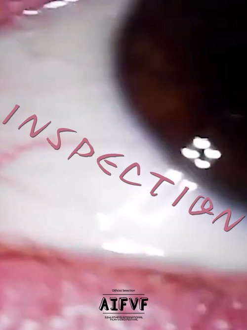 INSPECTION (2025) poster