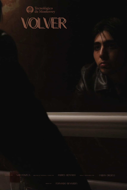 Volver (2026) poster