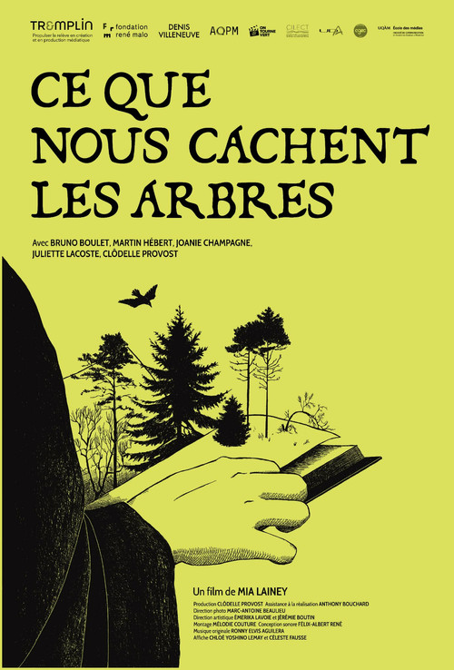 Ce que nous cachent les arbres