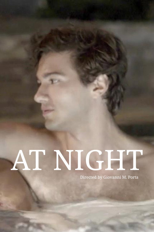 At Night (2017) poster