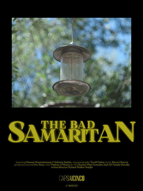 The Bad Samaritan
