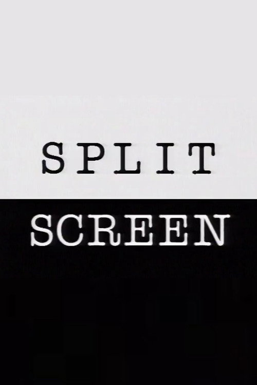 Split Screen (1997) poster