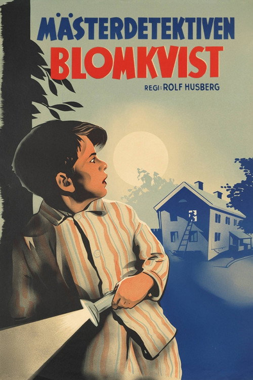 Master Detective Blomkvist