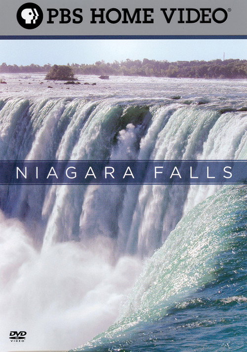 Niagara Falls (2006) poster
