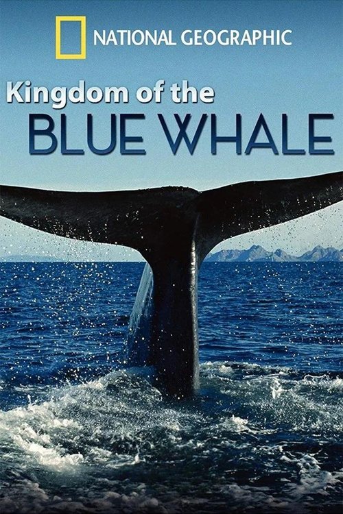 Kingdom of the Blue Whale