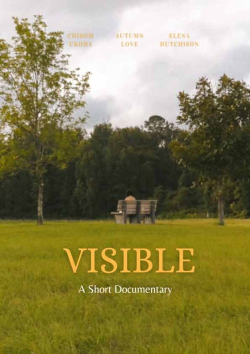 Visible (2021) poster