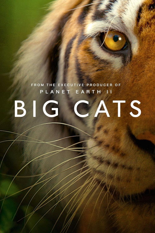 Big Cats (2019) poster