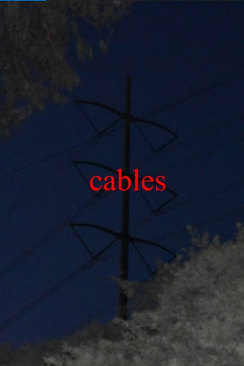 Cables (2025) poster