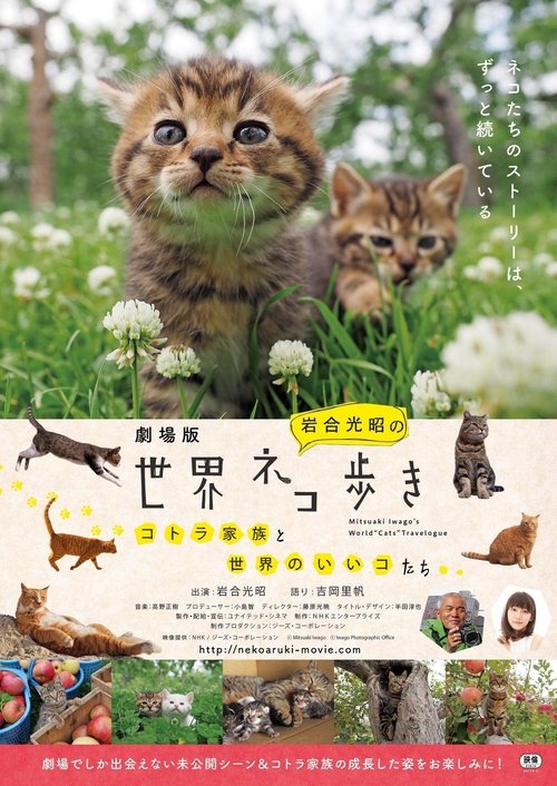 Mitsuaki Iwago's World “Cats” Travelogue