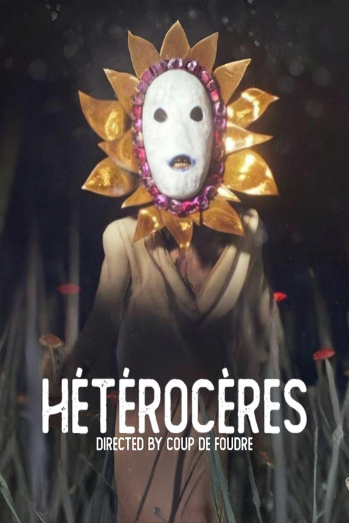 Moths (2026) poster