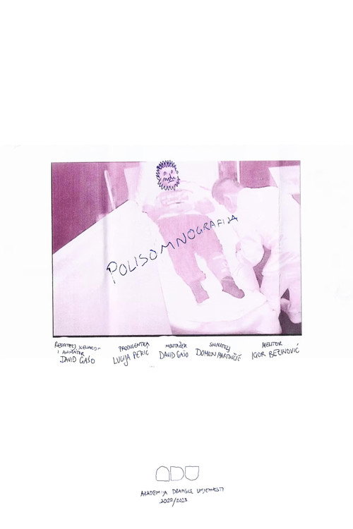 Sleep Study (2024) poster