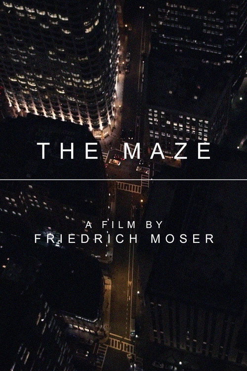 The Maze (2017) poster