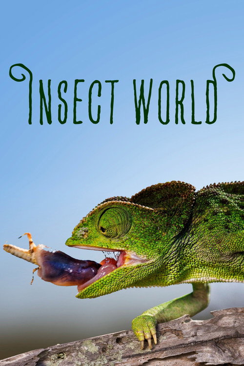 Insect World