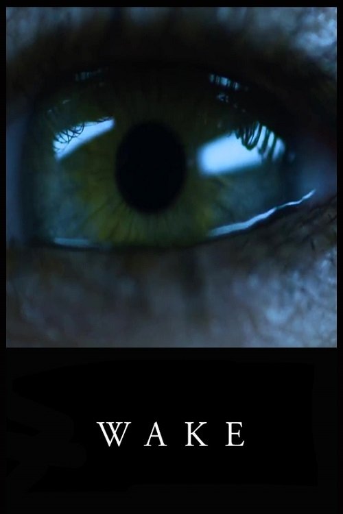 Wake (2018) poster