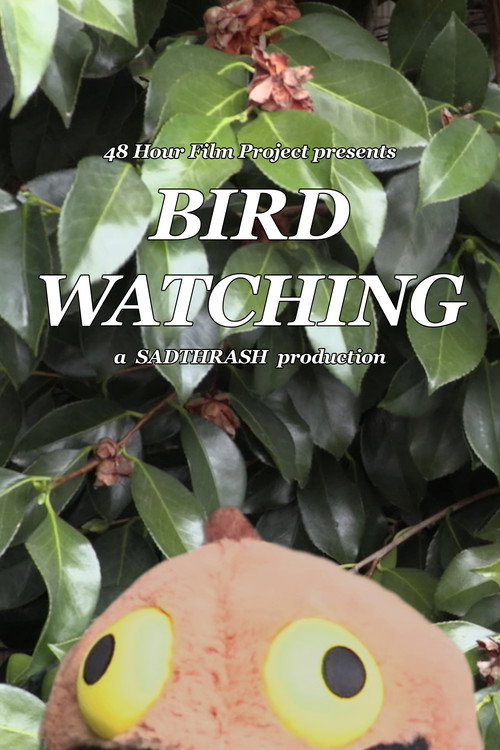 Birdwatching (2025) poster