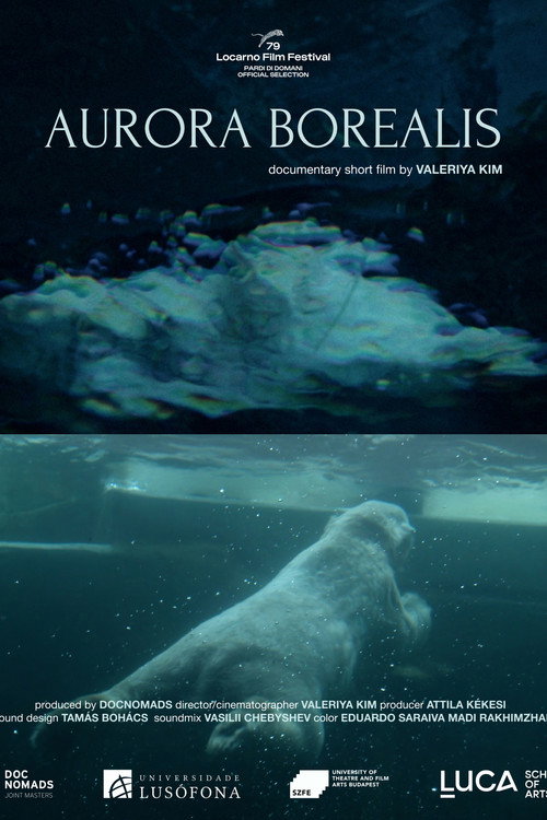 Aurora Borealis (2026) poster