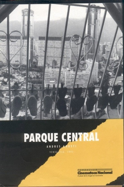Parque Central (1992) poster