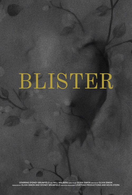 Blister (2026) poster