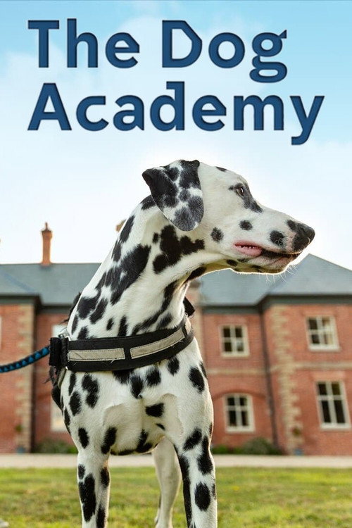 Bad Dog Academy