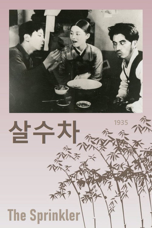 The Sprinkler (1935) poster