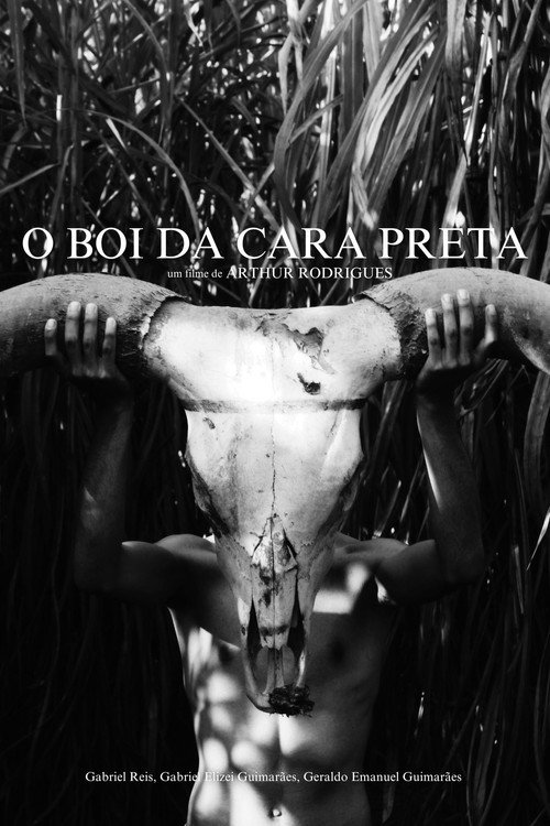 O Boi da Cara Preta