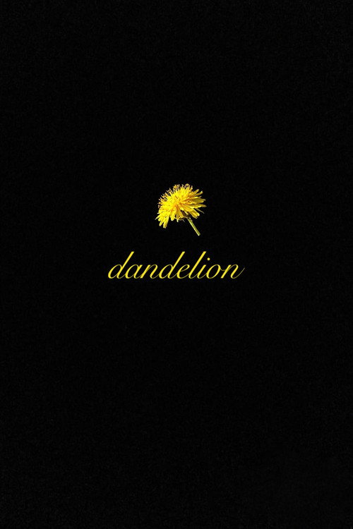 Dandelion (2024) poster
