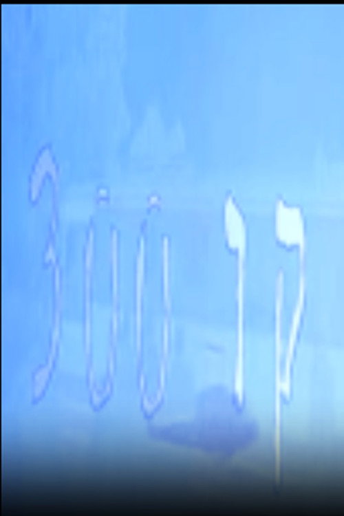 קו 300 (1997) poster