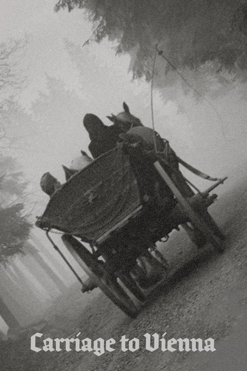 Carriage to Vienna