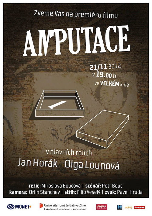 Amputace