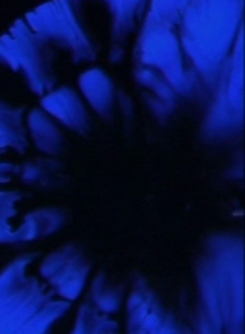 Adagio (2002) poster