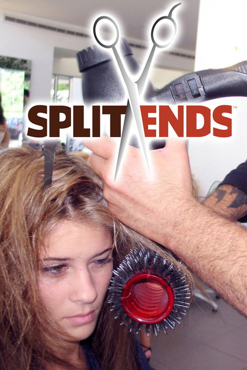 Split Ends (2006) poster