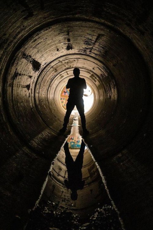 Plunge (2022) poster