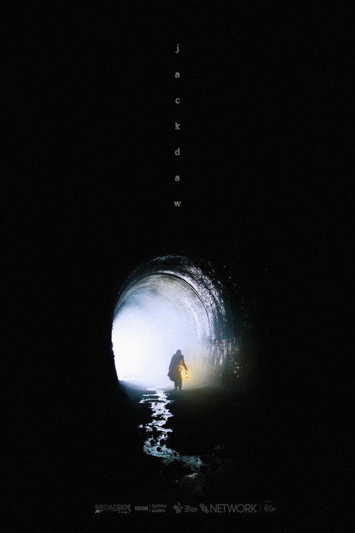 Jackdaw (2021) poster