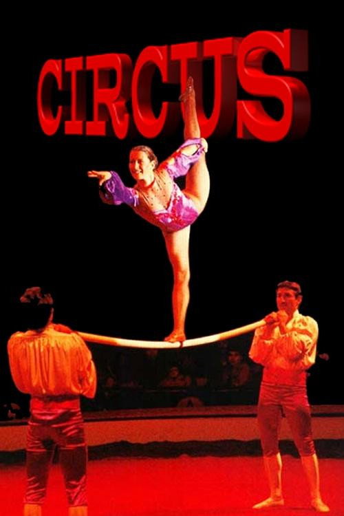 Circus (2010) poster