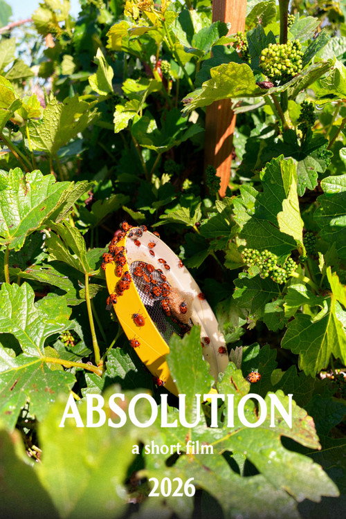 Absolution (2026) poster