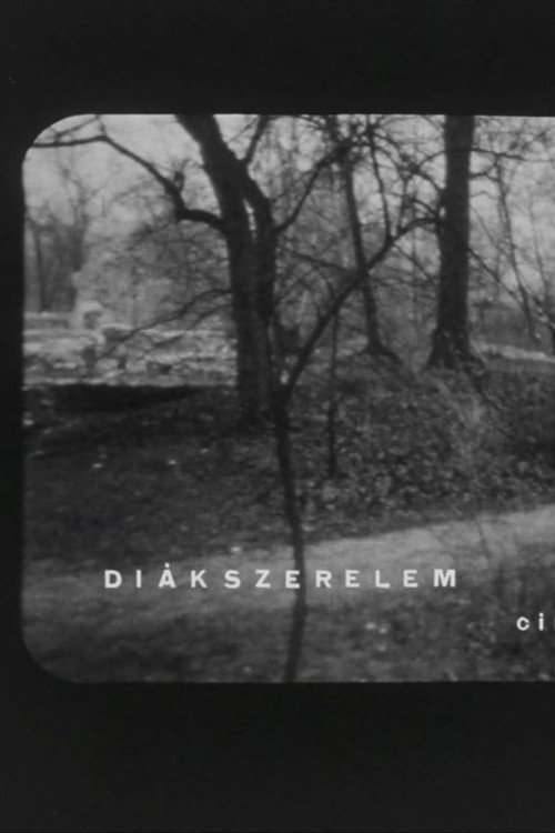 Diákszerelem
