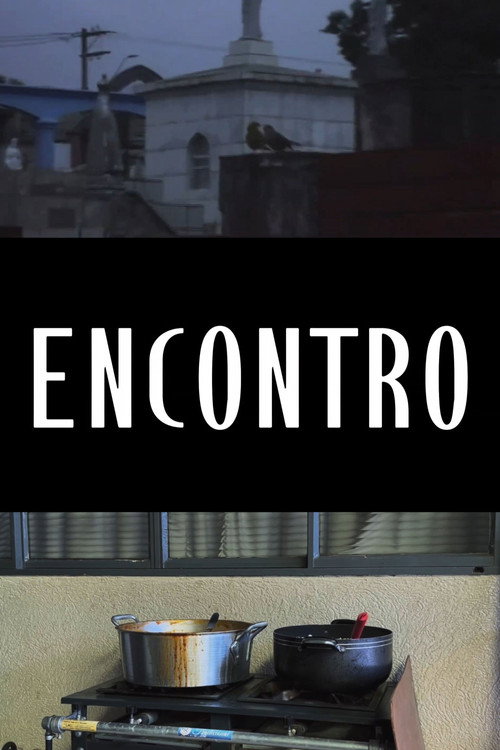 ENCONTRO (2025) poster