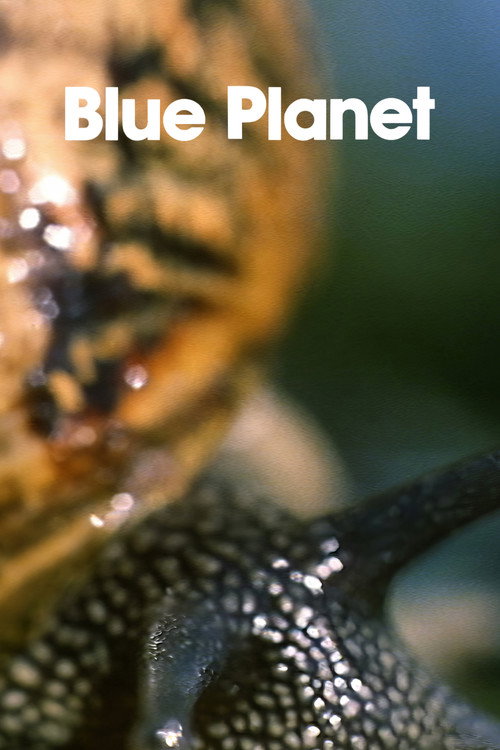 The Blue Planet