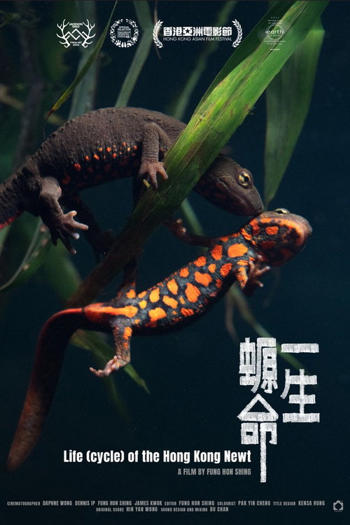 Life (cycle) of the Hong Kong Newt